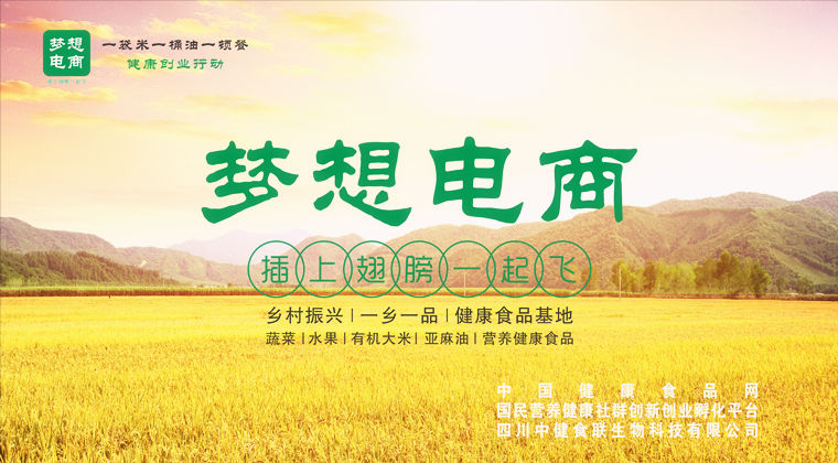 夢(mèng)想電商