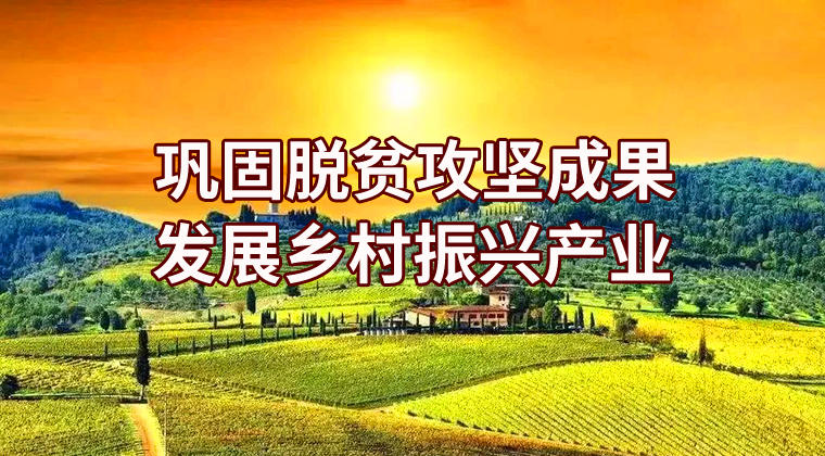鞏固脫貧攻堅(jiān)成果促進(jìn)鄉(xiāng)村振興